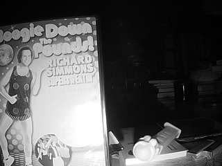 voyeurcam bridgetleewalters 02